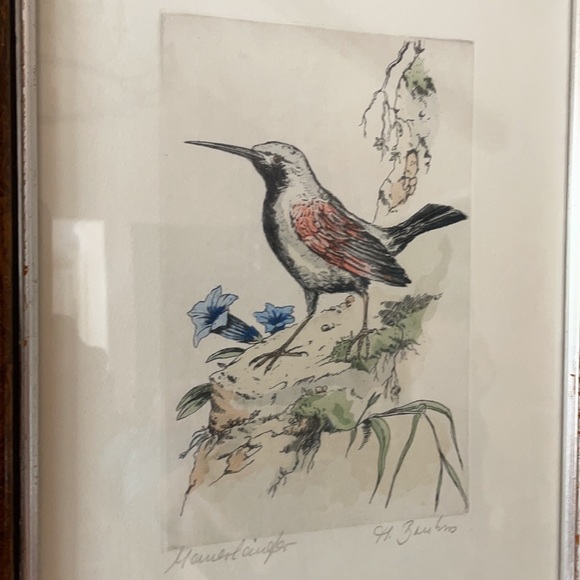 Pair of hand-colored Aviary Prints, framed - Picture 3 of 4